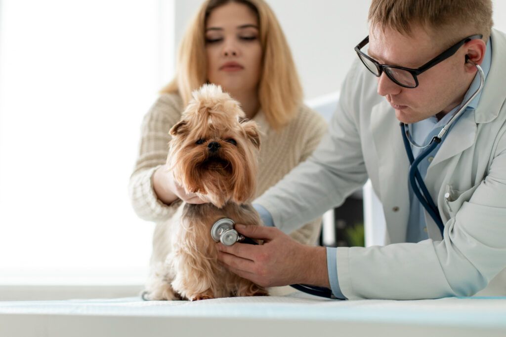 farmacie-veterinara-sector-4-1