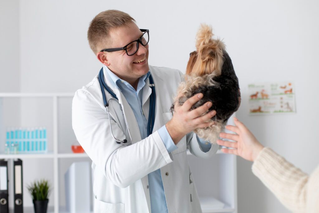 farmacie-veterinara-sector-4-2