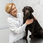 farmacie-veterinara-sector-4