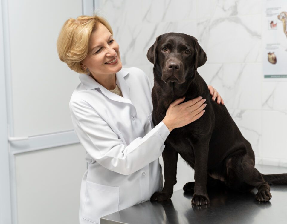 farmacie-veterinara-sector-4