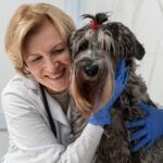 veterinar-sector-4